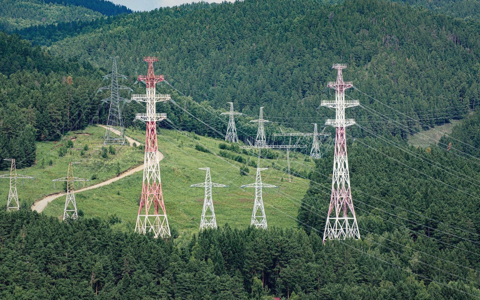 Rows of red and white electricity transmission towers crossing a forested hillside